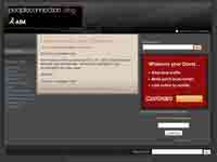 My AOL Website